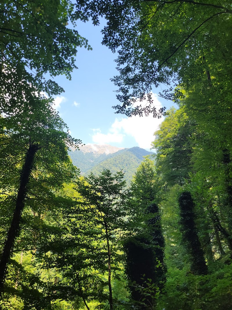 Ninoskhevi Waterfall Trailhead - ნინოსხევის ჩანჩქერის ბილიკის დასაწყისი - Ninoskhevi Waterfall Trailhead - ნინოსხევის ჩანჩქერის ბილიკის დასაწყისი, Lagodekhi Municipality, Georgia