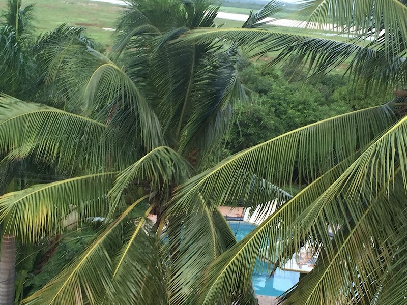 Lake Berry Farmhouse - Lake Berry Farmhouse, Manchirevula, Gandipet, Hyderabad, Telangana 500075, India