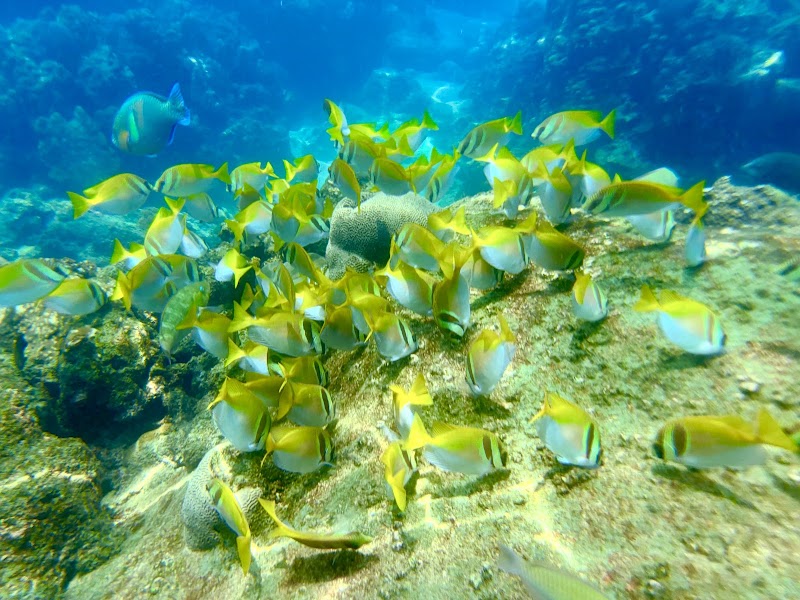 Ao Tanote Beach - Ao Tanote Beach Ao Tanote Beach, Ko Pha-ngan District, Surat Thani, Thailand