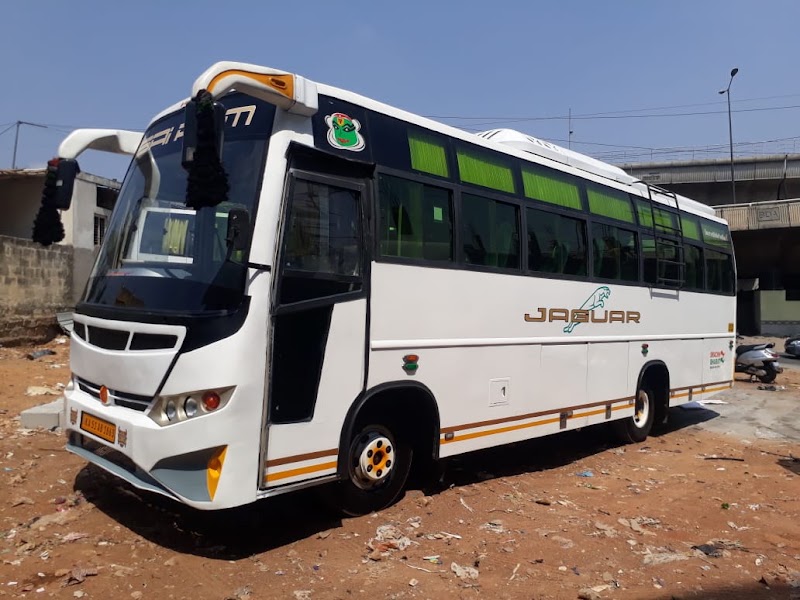 Rachel Tours & Travels - Rachel Tours & Travels, C/O Hotel Hampi International, Station Rd, Hosapete, Karnataka 583201, India