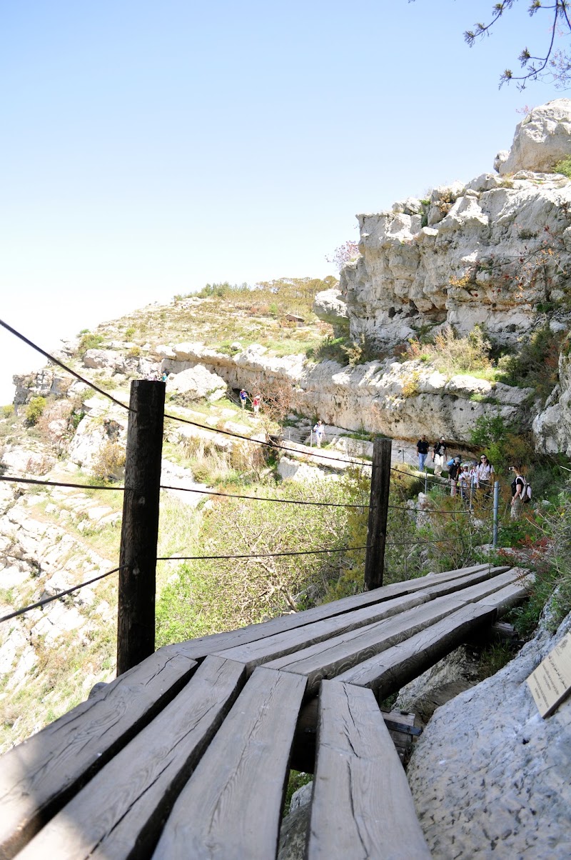 Shouf Biosphere Reserve /Niha Fortress - Shouf Biosphere Reserve /Niha Fortress, HJH5+XH2, Niha, Lebanon