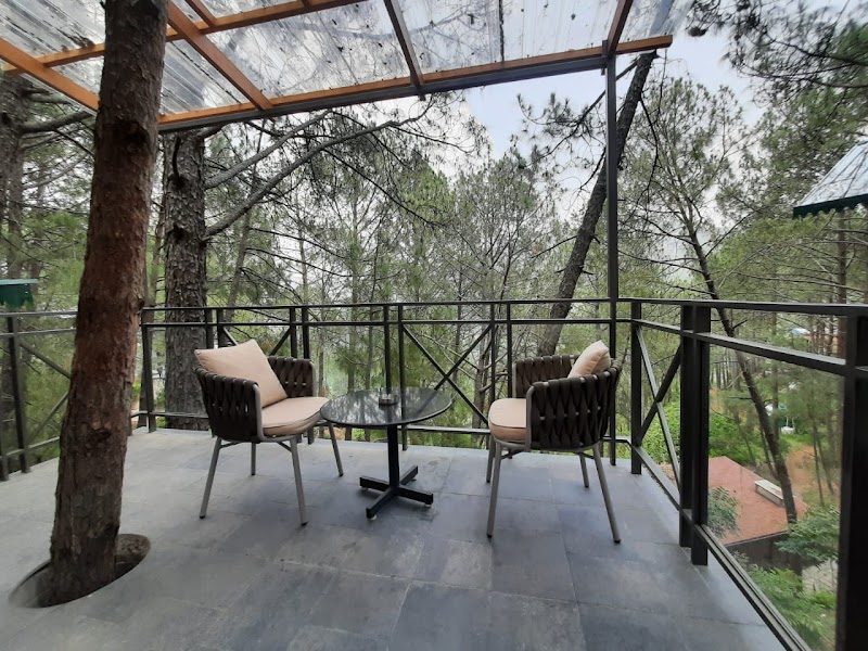Kasauli Hills Resort - Best Luxury Resort and Hotel - Kasauli Hills Resort - Best Luxury Resort and Hotel Kasauli, Garkhal Kanda Road Kharog, Distt, Tehsil, Kasauli, Himachal Pradesh 173201, India