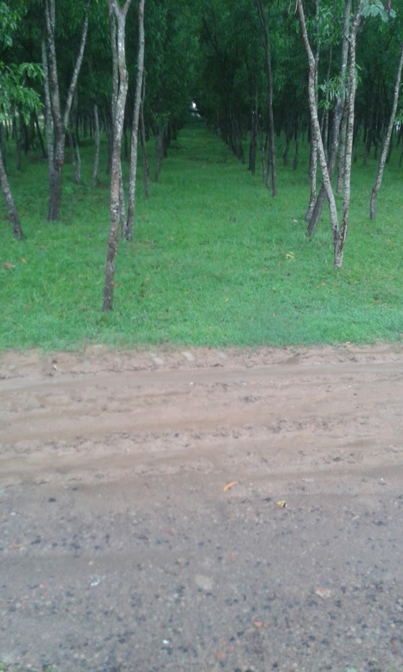 BANGAL SHOE HOUSE - BANGAL SHOE HOUSE, PAR HOUSE, NEAR, PAR HOUSE ROAD, Salar, West Bengal 742401, India