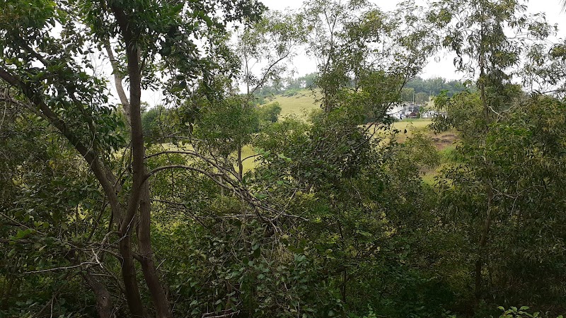 Hill View - Hill View, Dmello Vaddo, Anjuna, Goa 403509, India
