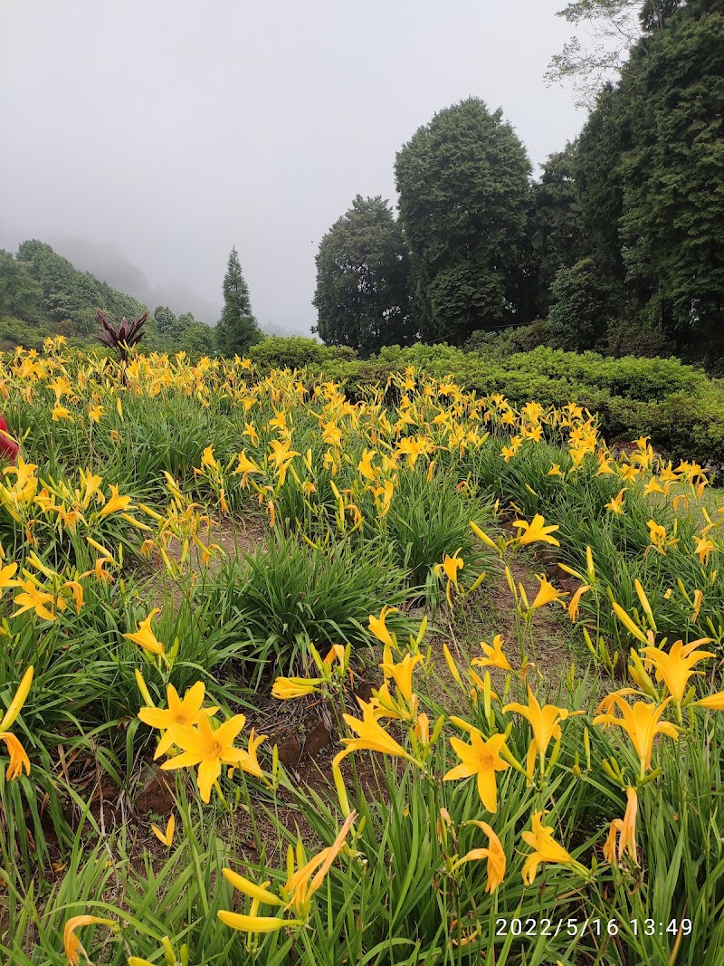 Delo Park - Delo Park, 3GQ3+M83, Deolo, Homes St.And Graihms, Kalimpong, West Bengal 734316, India