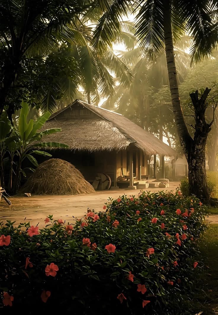 Kerala Tour Package - Kerala Tour Package, B- block, Virendar Nagar, Block B, Sant Nagar, Burari, New Delhi, Delhi, 110084, India