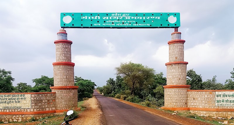Gandhi Sagar Wildlife Sanctuary - Gandhi Sagar Wildlife Sanctuary, Chenpuriya, Madhya Pradesh 458118, India