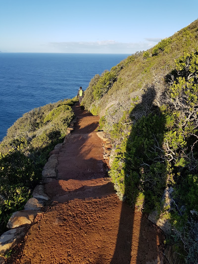 Cape of Good Hope Scenic View Point - Cape of Good Hope Scenic View Point, JFVV+QX, Cape Point, Cape Town, South Africa