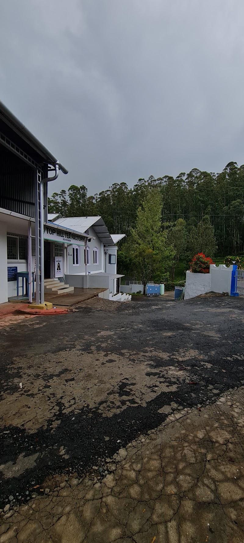 Top Hill Tea Factory - Top Hill Tea Factory, Sholurmattam Road, Amman Nagar, Denad, Kil Kotagiri, Tamil Nadu 643216, India
