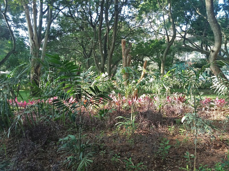 Jayanagara Kiru Kādu - Jayanagara Kiru Kādu WHFH+QXJ, 7th Block, Jayanagar, Bengaluru, Karnataka 560070, India