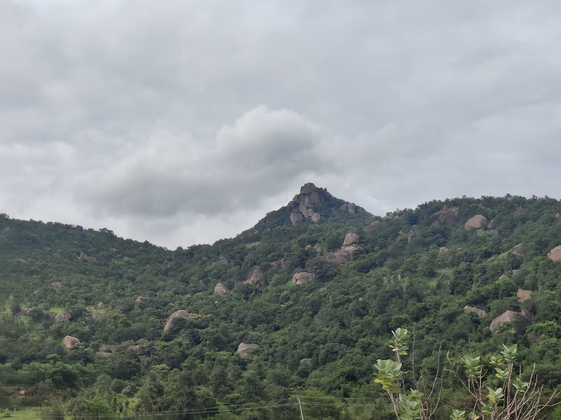 Chinaga Betta Trek - Chinaga Betta Trek, 95X8+CF4, Karnataka 572106, India