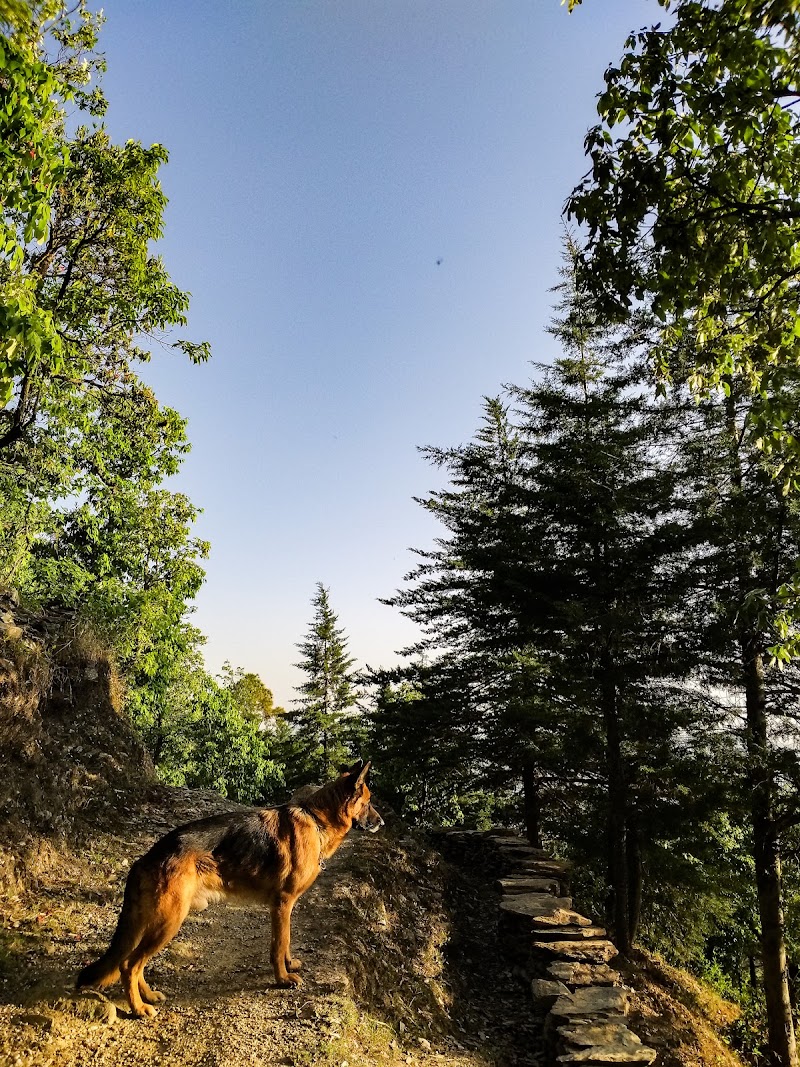 Esqape | Private Holiday Homes - Esqape | Private Holiday Homes, 202, Highland Cottages, Parvada, South Gola Range, Village Rd, Parvada, Mukteshwar, South Gola Range, Uttarakhand 263136, India