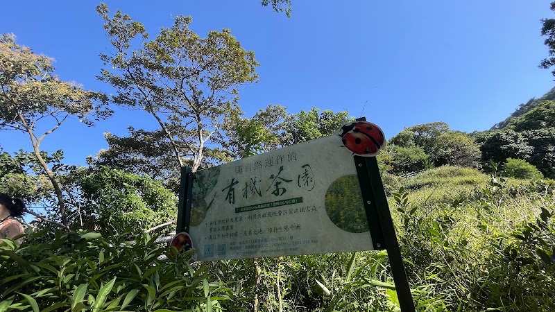 貓空觀光茶園 - 貓空觀光茶園, Wenshan District, Taipei City, Taiwan 116