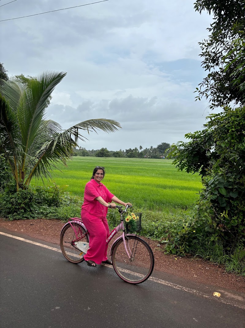 Dear Zindagi Movie Parra Road - Dear Zindagi Movie Parra Road, St. Annes Church Rd, Parra, Goa 403510, India