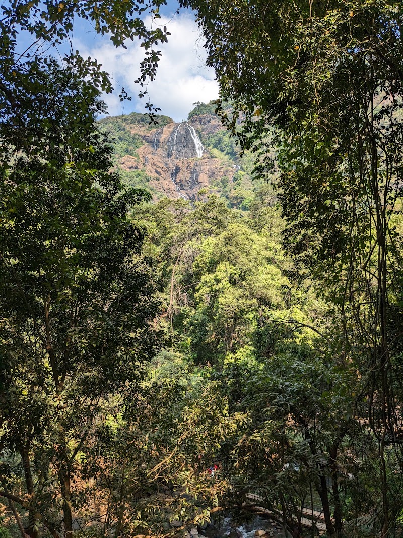 Dudhsagar Watchtower - Dudhsagar Watchtower 8857+H9Q, Sonauli, Goa 403410, India