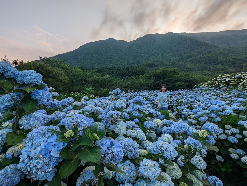 Yangmingshan National Park - Yangmingshan National Park, Taiwan