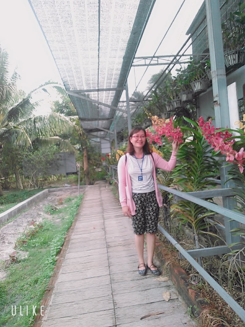 Vườn Tiêu Phú Quốc - Vườn Tiêu Phú Quốc, 6X6M+G64, Phu Quoc, An Giang, Vietnam