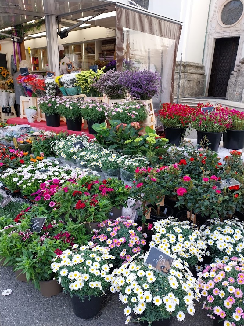 Blumen Sappi - Blumen Sappi Grünmarkt vor der Kirche, Universitätspl., 5020 Salzburg, Austria