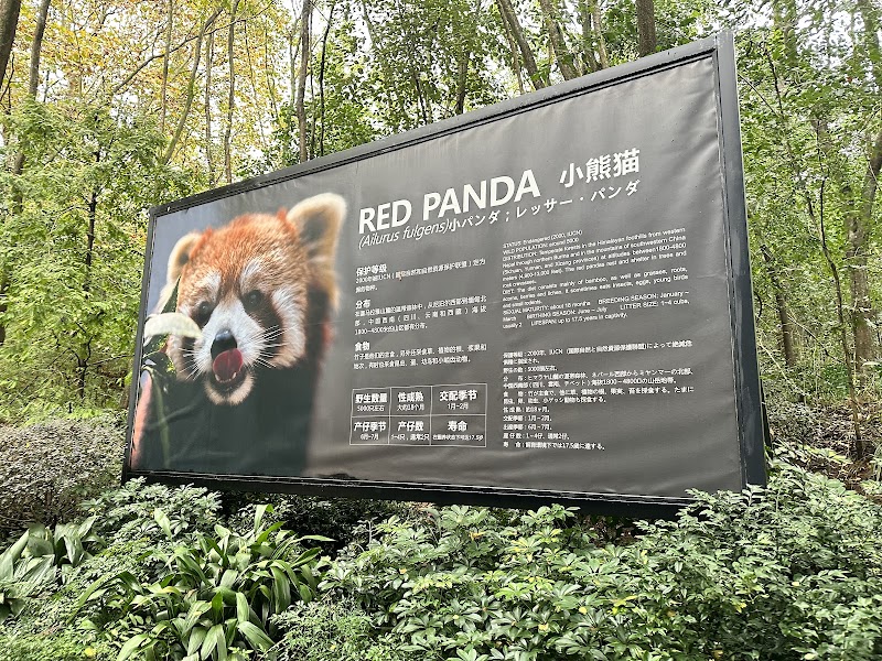 Chengdu Research Base of Giant Panda Breeding - Chengdu Research Base of Giant Panda Breeding 1375 Xiong Mao Da Dao, Cheng Hua Qu, Cheng Du Shi, Si Chuan Sheng, China, 610016