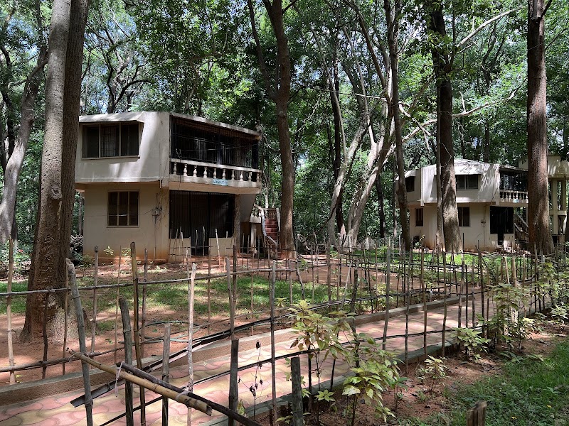 Eco Resort
