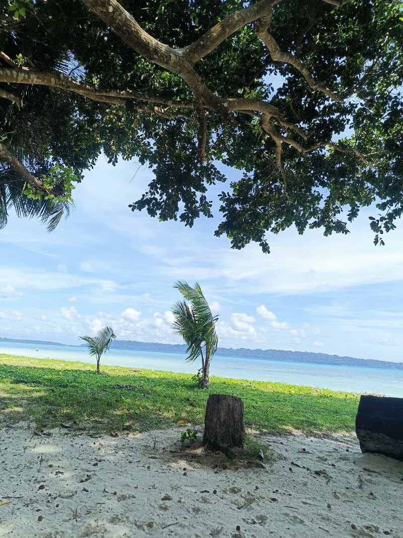 Dolphin beach resort - Dolphin beach resort Govind Nagar, Andaman and Nicobar Islands 744211, India