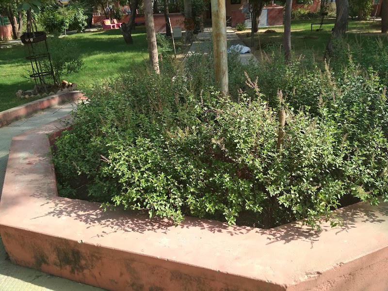Kalp -Vriksh Park - Kalp -Vriksh Park, QRXF+R8G, opp house no 113/101, Kumbha Marg, Sanganer, Sector 11, Pratap Nagar, Jaipur, Rajasthan 302033, India