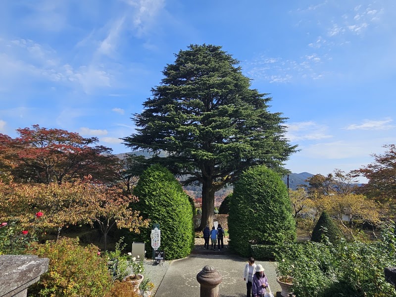 Hakone Gora Park - Hakone Gora Park, 1300 Gōra, Hakone, Ashigarashimo District, Kanagawa 250-0408, Japan
