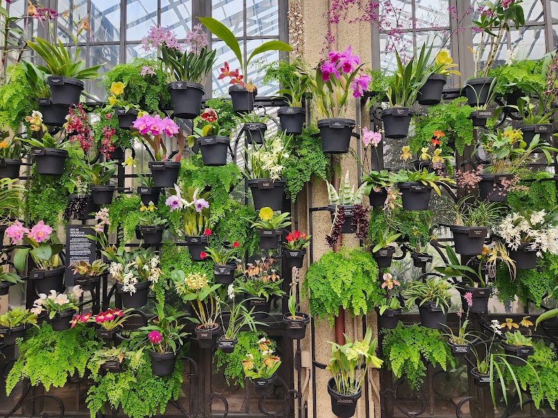 Orchid House - Orchid House Kennett Square, PA 19348, USA