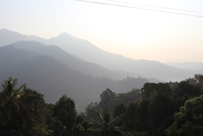 Tea estate view point - Tea estate view point 5/135, Pothamedu, Munnar, Kerala 685612, India