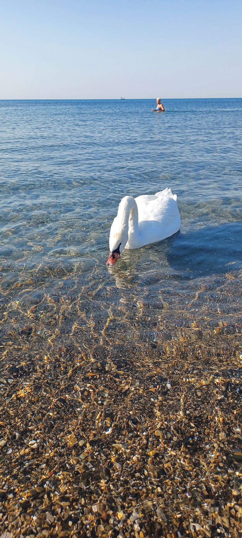 "Limone" Free Beach - "Limone" Free Beach, Lm Duca Degli Abruzzi/Sommergibile, 00121 Lido di Ostia RM, Italy