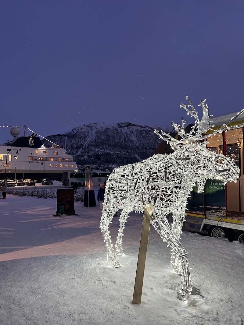 Arctic Experience - Arctic Experience Kirkegata 2, 9008 Tromsø, Norway