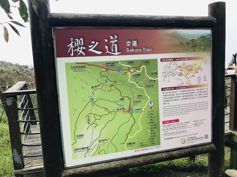 Tea Trail - Tea Trail 605, Taiwan, Chiayi County, Alishan Township, 樂野村