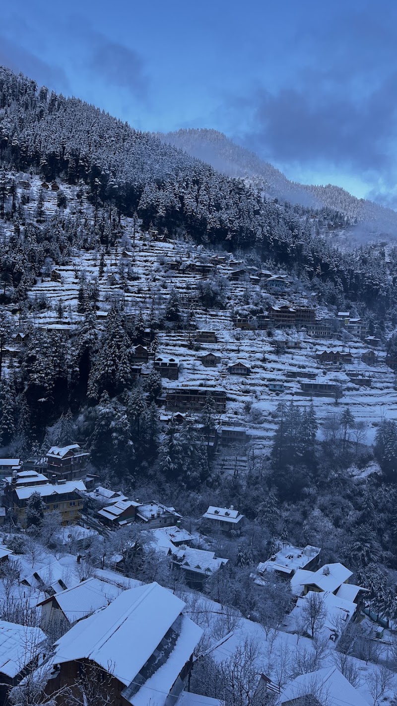Jibhi Market - Jibhi Market Bus Stop, 305, National Highway, Jibhi, Rashala, Himachal Pradesh 175123, India