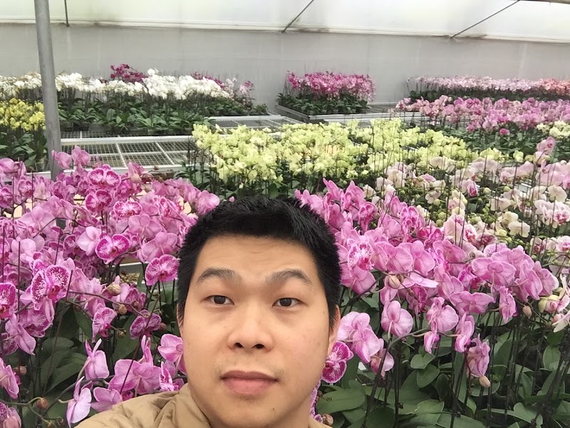 Vạn Phúc Flower Market - Vạn Phúc Flower Market, Đường Vạn Phúc, làng Vạn Phúc, Hà Đông, Hà Nội, Vietnam