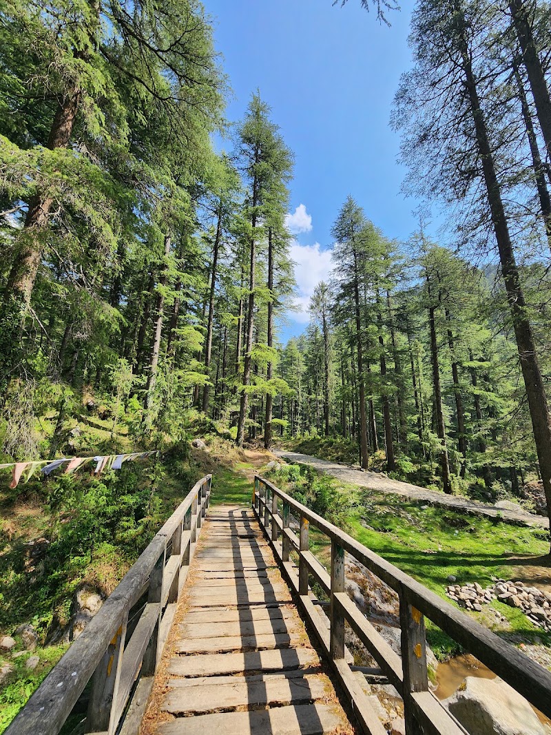 Devidarh park - Devidarh park F4FC+XJP, Dpf Devidarh, Himachal Pradesh 175039, India
