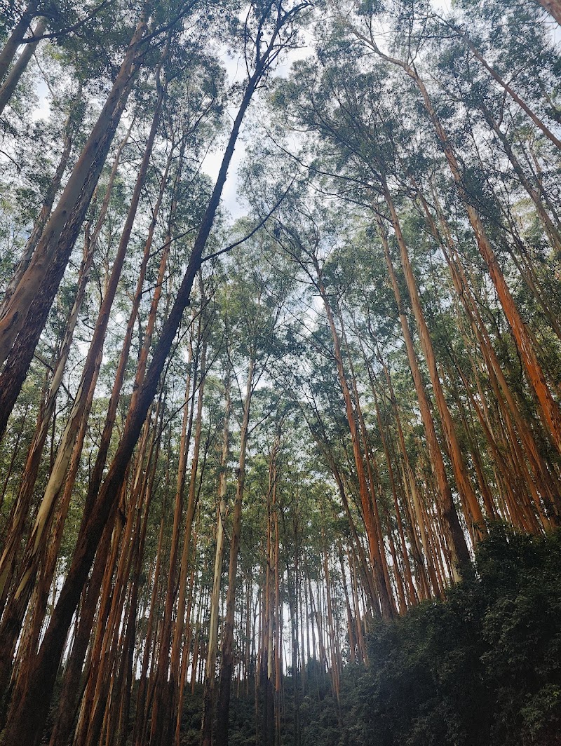 Ooty Viewpoint - Ooty Viewpoint CP49+6VJ, Thalayathimund, Ooty, Tamil Nadu 643001, India