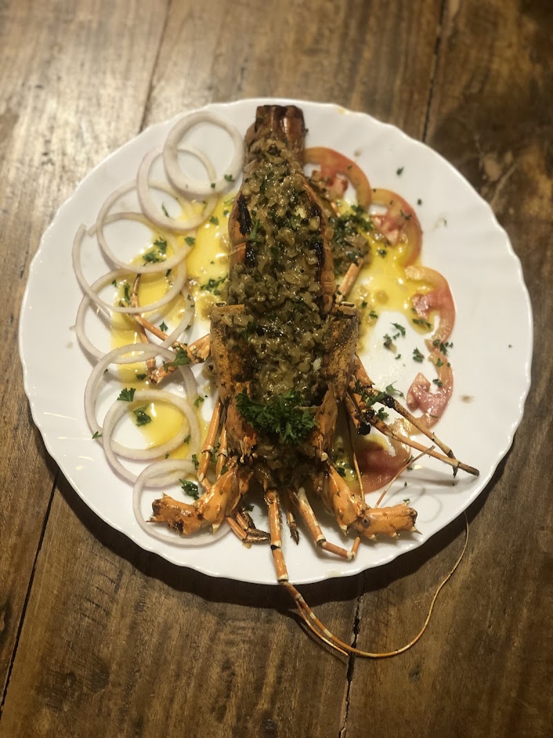 OCEANO - A CULINARY BAR - OCEANO - A CULINARY BAR H.35, 1B, Arambol Beach Rd, Arambol, Goa 403524, India