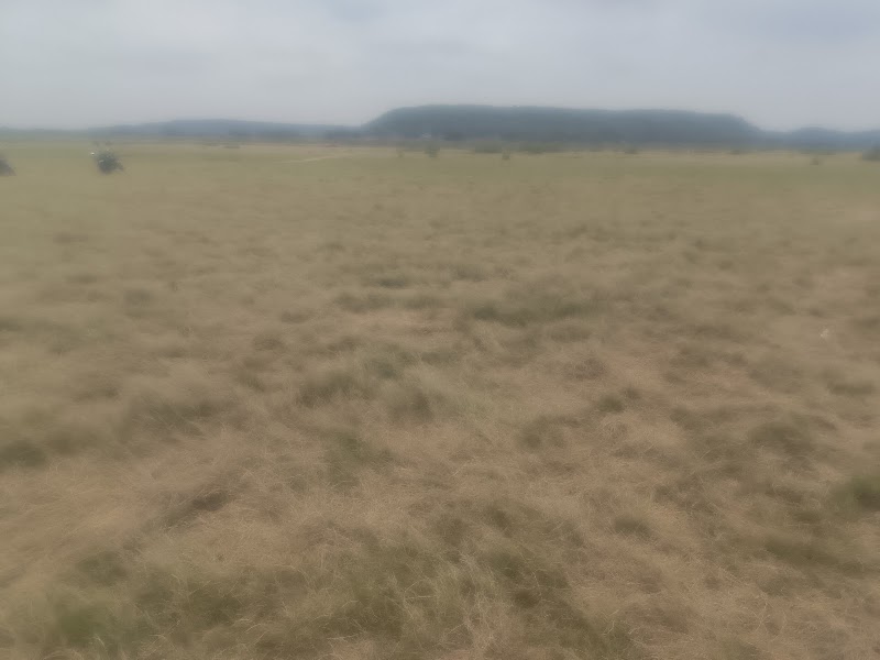 Chikhali - Chikhali, HC27+HC, Chikhli, Chhattisgarh 494337, India