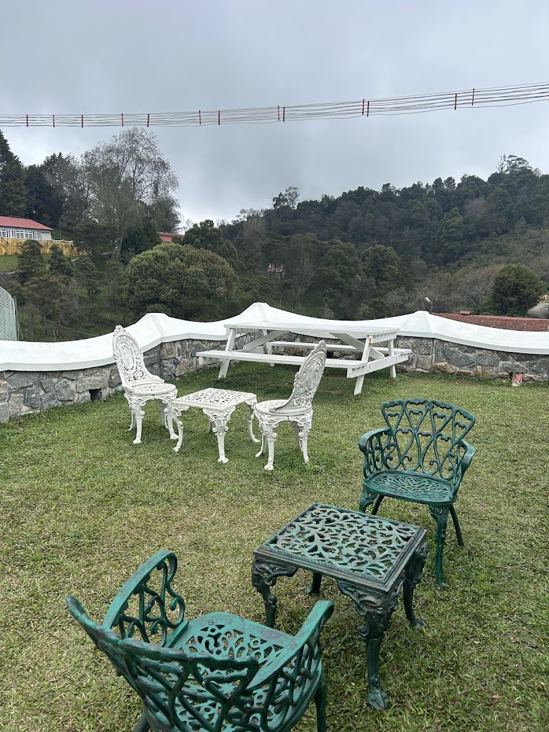 Cafe Wisteria - Cafe Wisteria Golf Club Road, inside Holiday Home Resort, Kodaikanal, Tamil Nadu 624103, India