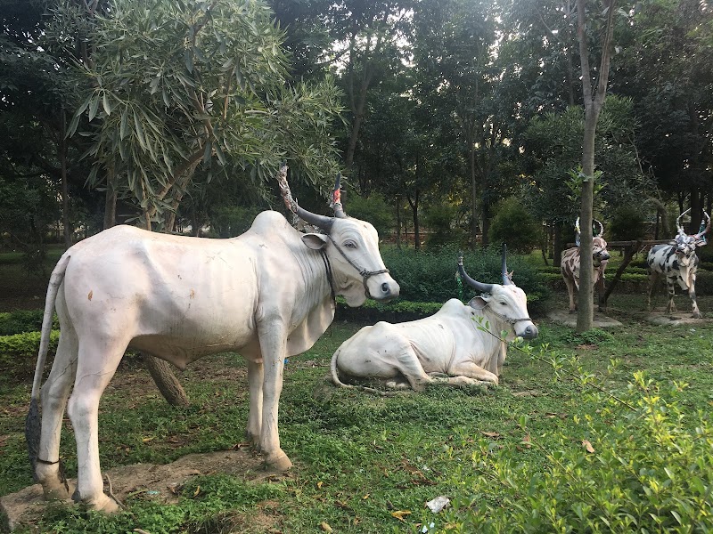Jaya Prakash Narayana Park - Jaya Prakash Narayana Park 22/1, Tank Bund Road Brindavan Nagar, Bandappa Garden, Mathikere, Bengaluru, Karnataka 560054, India