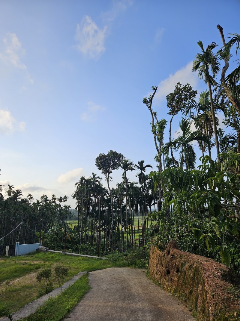 Blue Moon Homestay - Blue Moon Homestay 3J2C+RPF Kanchur Estate, Taluk, Hanthur, Kanchuru, Karnataka 577132, India