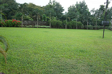 Rajveer Villa- Villa On Rent Wada Palghar | Private Pool Bungalow in palghar, Mumbai | Farmhouse on rent in Palghar - Rajveer Villa- Villa On Rent Wada Palghar | Private Pool Bungalow in palghar, Mumbai | Farmhouse on rent in Palghar Wada - Manor Rd, Kalamkhand, Kanchad, Maharashtra 421303, India