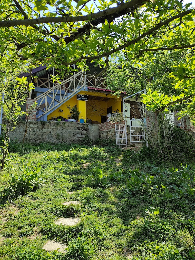 The Mountain House Manali