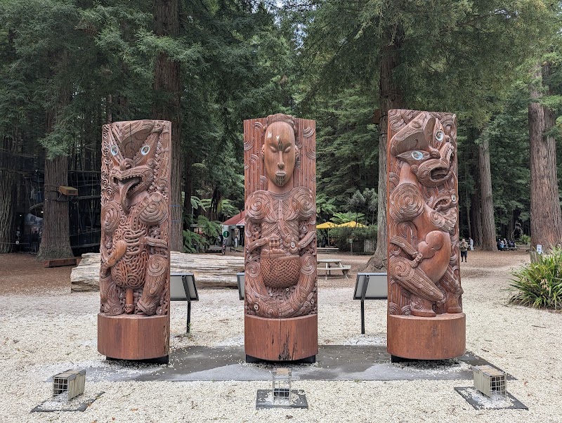 Redwoods – Whakarewarewa Forest - Redwoods – Whakarewarewa Forest Whakarewarewa, Rotorua 3074, New Zealand