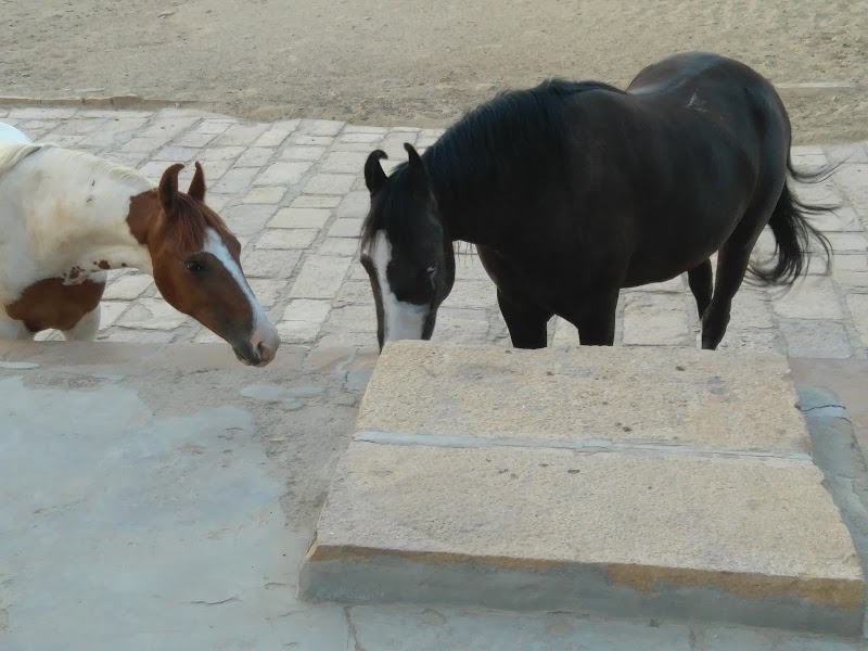 Badal mahal - Badal mahal, WW85+9XP, Gandhi Chowk Rd, Sadar Bazar, Jaisalmer, Kishan Ghat, Rajasthan 345001, India