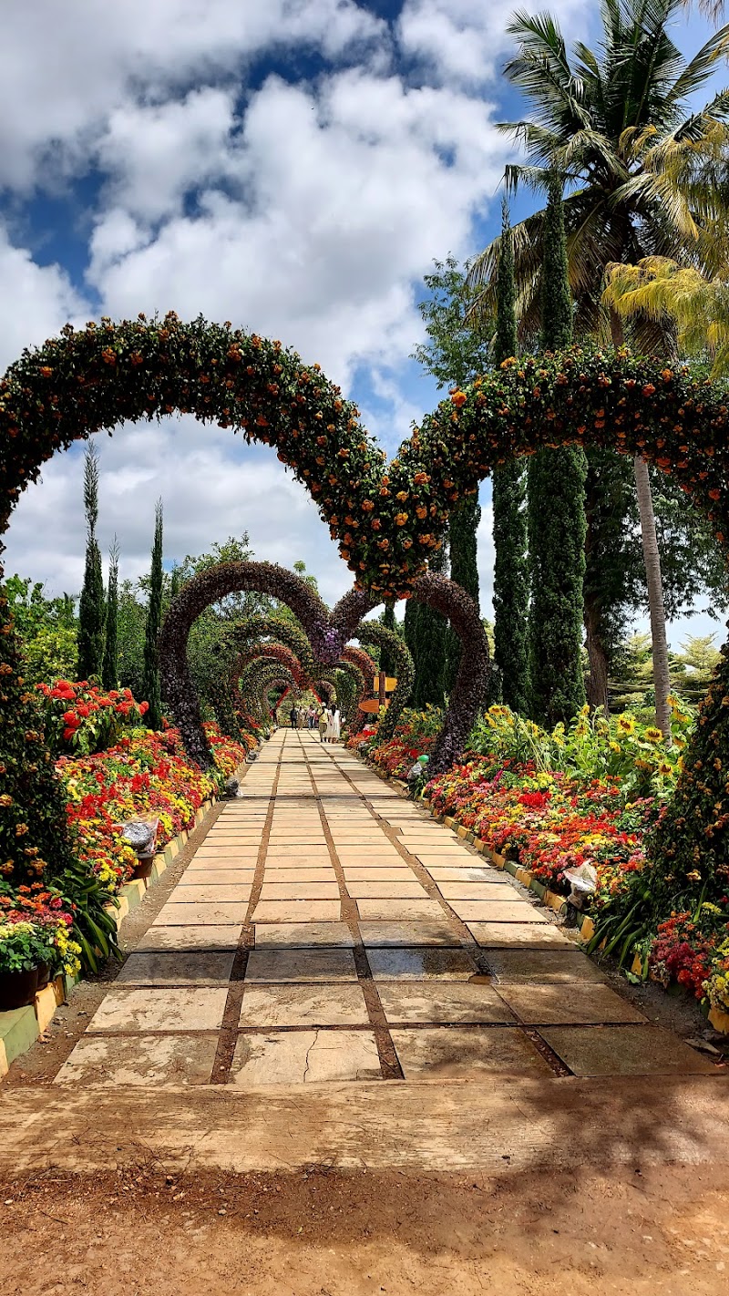 Botanical Garden Lingambudhi Lake ಸಸ್ಯಶಾಸ್ತ್ರ ವಿಶೇಷ ಉದ್ಯಾನ, ಲಿಂಗಾಂಬುಧಿ ಕೆರೆ. - Botanical Garden Lingambudhi Lake ಸಸ್ಯಶಾಸ್ತ್ರ ವಿಶೇಷ ಉದ್ಯಾನ, ಲಿಂಗಾಂಬುಧಿ ಕೆರೆ., 7JF8+7RQ, Lingambudhi Kere, Ramakrishnanagar, Dattagalli, Karnataka 570034, India