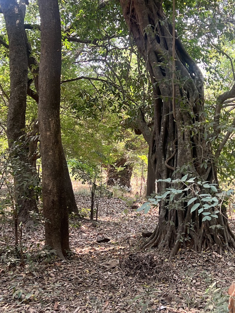 Ryewood Garden - Ryewood Garden PCX2+PX4, Hudco Colony, Lonavala, Maharashtra 410401, India