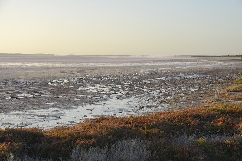 Hutt Lagoon - Hutt Lagoon, Yallabatharra WA 6535, Australia