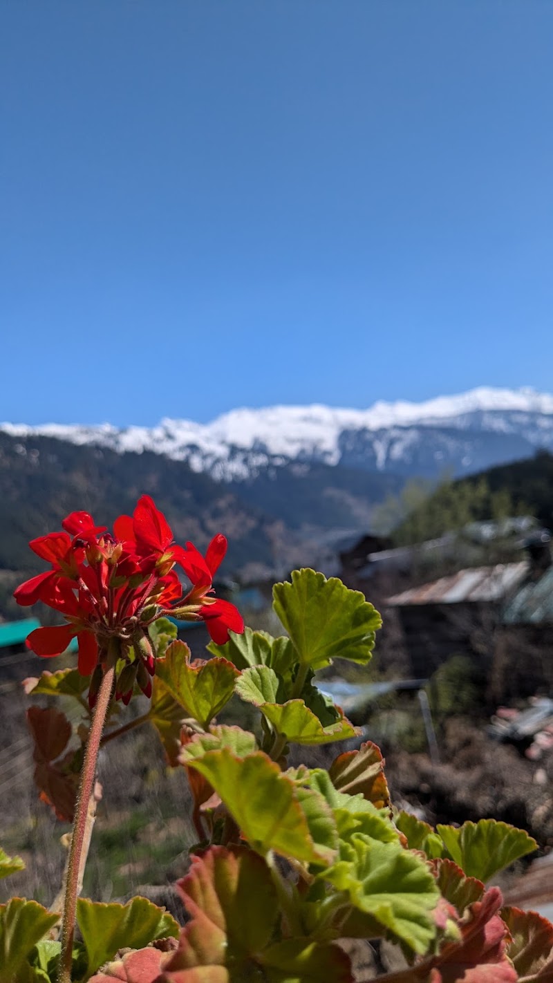 The village stay& cafe - The village stay& cafe, Old Manali, Manali, Himachal Pradesh 175131, India