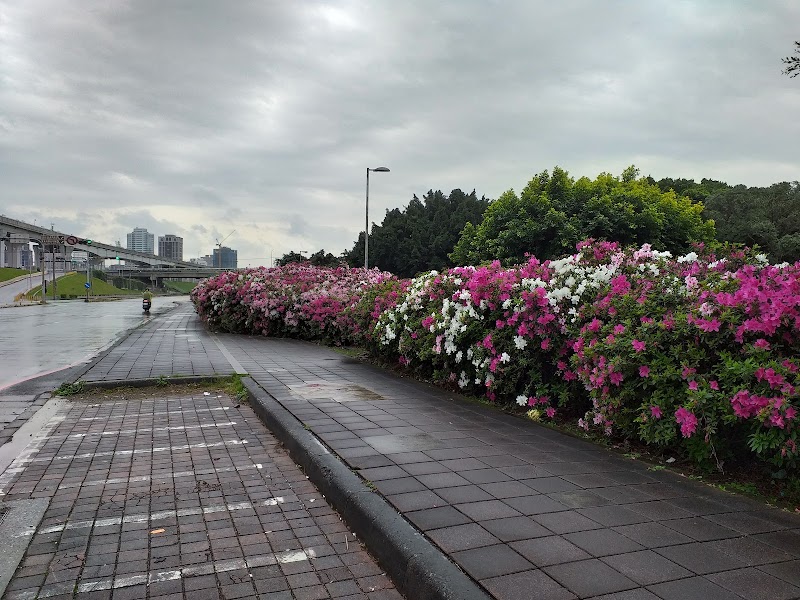 Shuhong Lotus Park - Shuhong Lotus Park Shuhong 1st Rd, Erchong Village, Sanchong District, New Taipei City, Taiwan 241